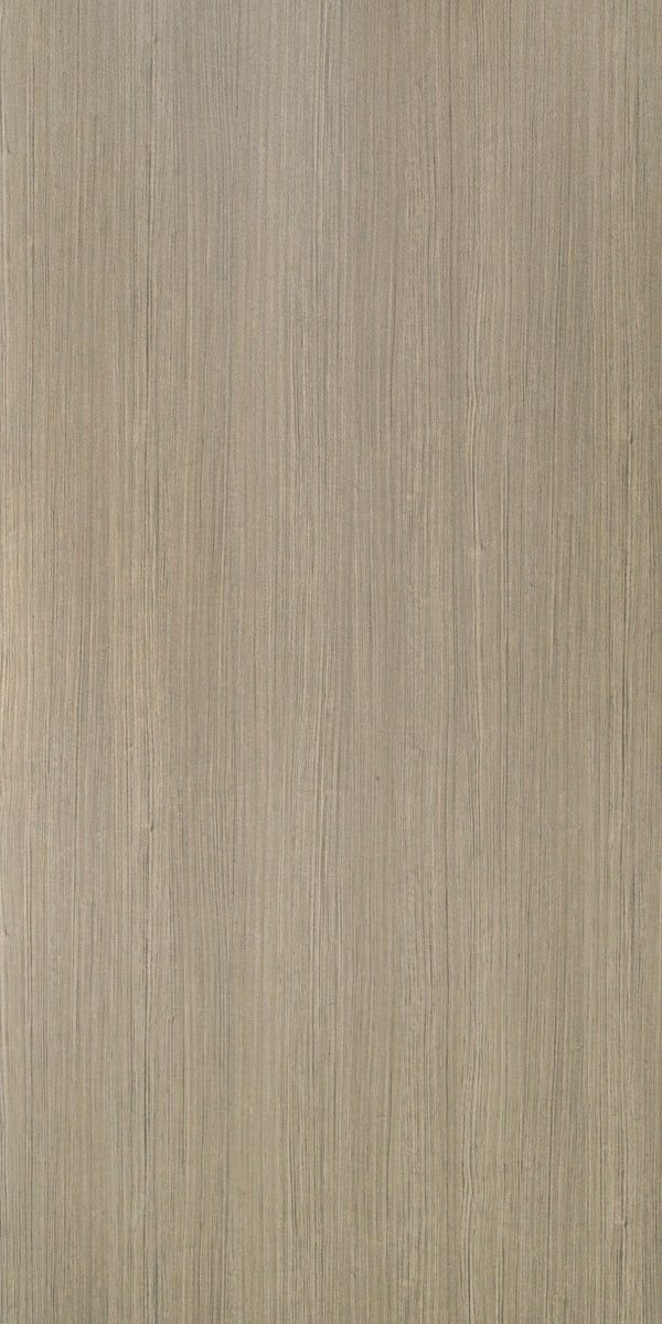 Favored Teak 3163 SUD