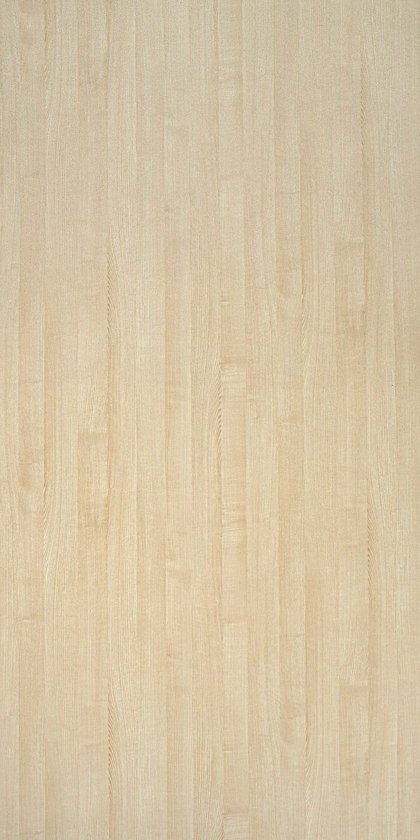 Summer Ash 3301 SUD