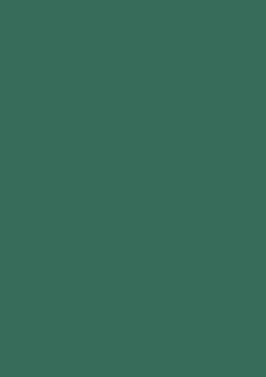 Zinc 3831 SUD